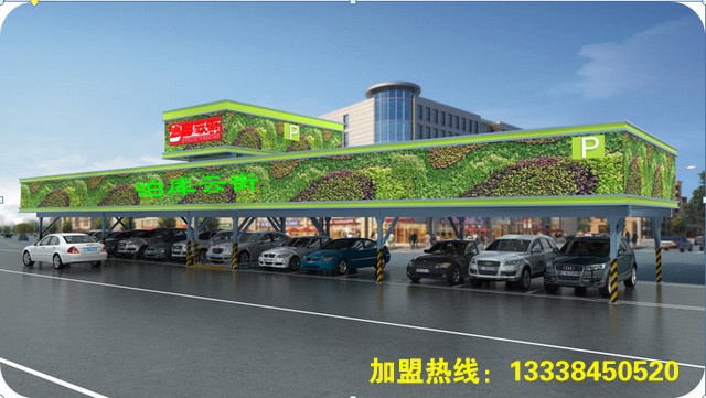 两会中，全国政协委员、北京市交通发展研究院院长郭继孚建议，明确绿地复用增设停车设施，打破土地供给障碍